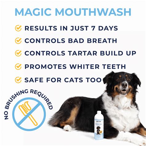 Magoc moutuwash for dogs